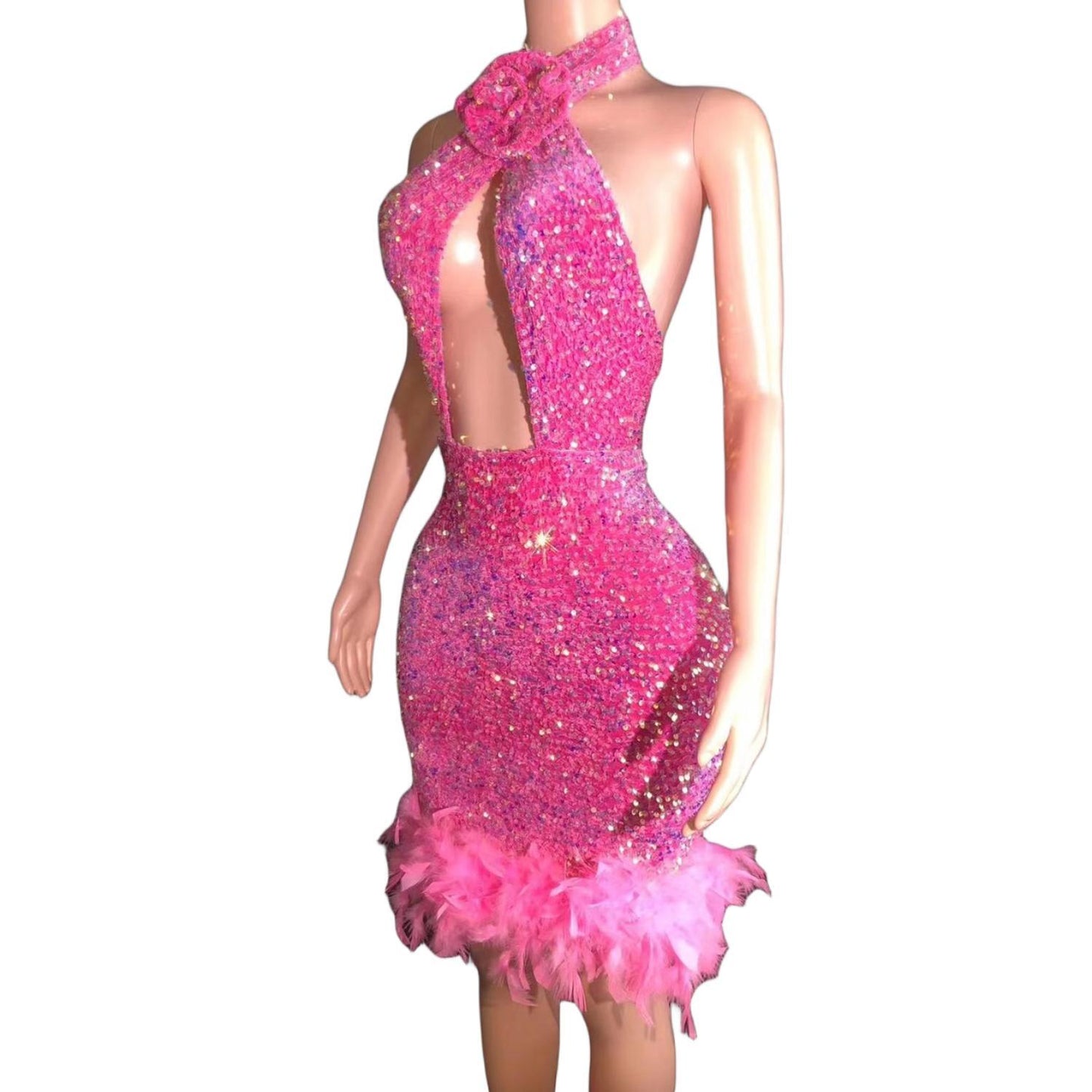 CELESINYI Fenqiangwei Crystal Rose Gown