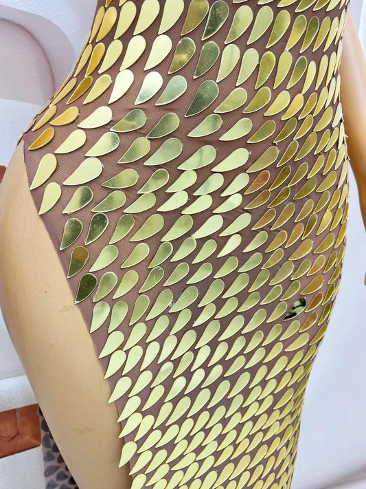 CELESINYI Fenghuanglei Crystal Gold Scale Gown