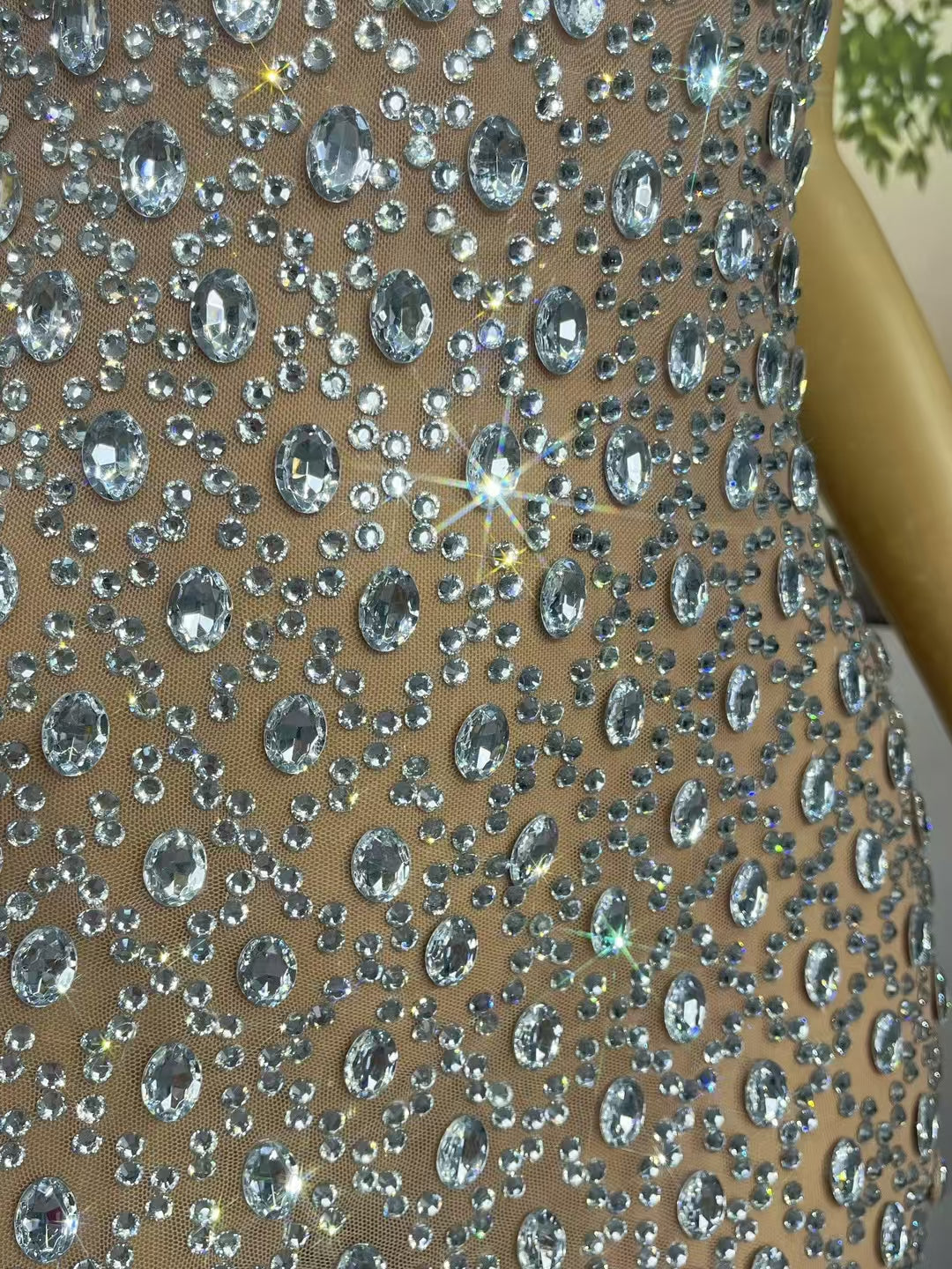 CELESINYI Qianzhen Crystal Crystal Detail Gown