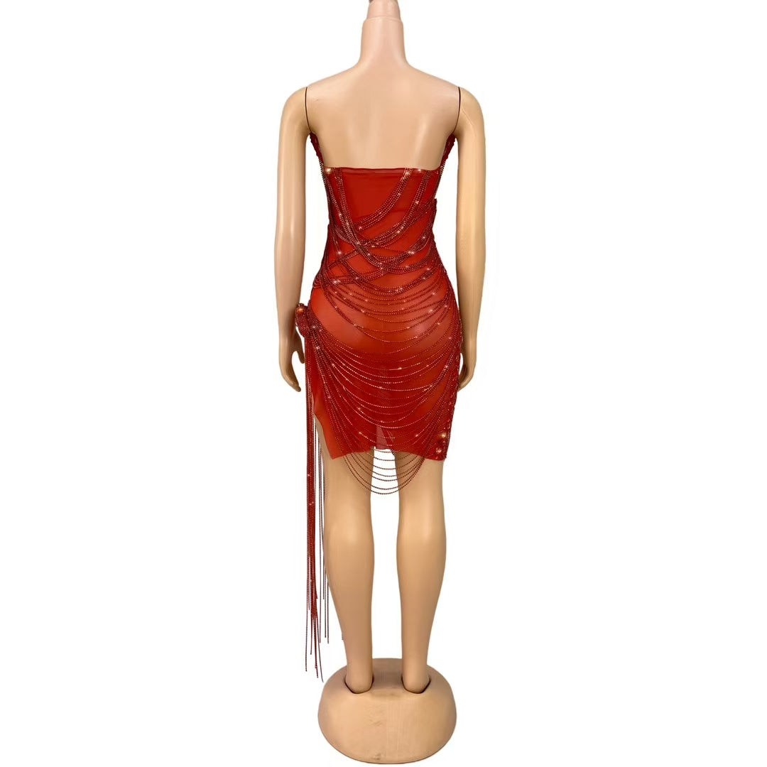 CELESINYI Hongyugu Crystal Ruby Fringe Gown