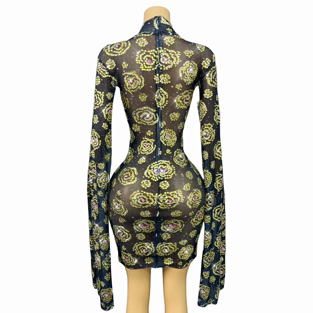 CELESINYI Jinmeigui Crystal Rose Bodysuit