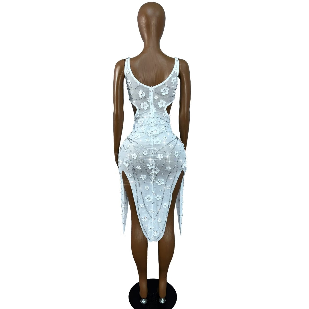 CELESINYI Liudehua Crystal Flower Applique Dress