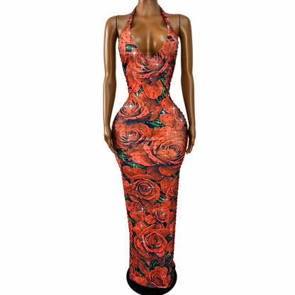 CELESINYI Meiguihuaban Crystal Rose Print Dress