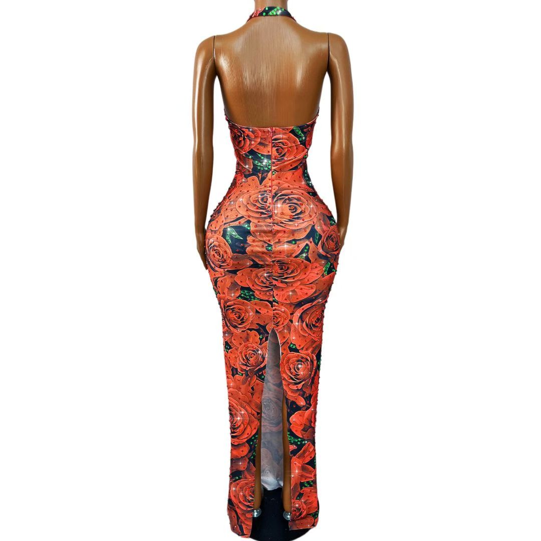 CELESINYI Meiguihuaban Crystal Rose Print Dress