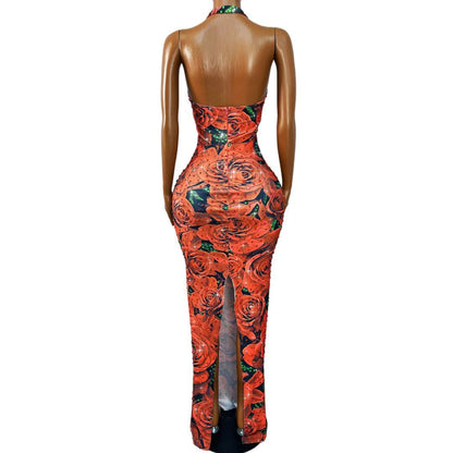 CELESINYI Meiguihuaban Crystal Rose Print Dress