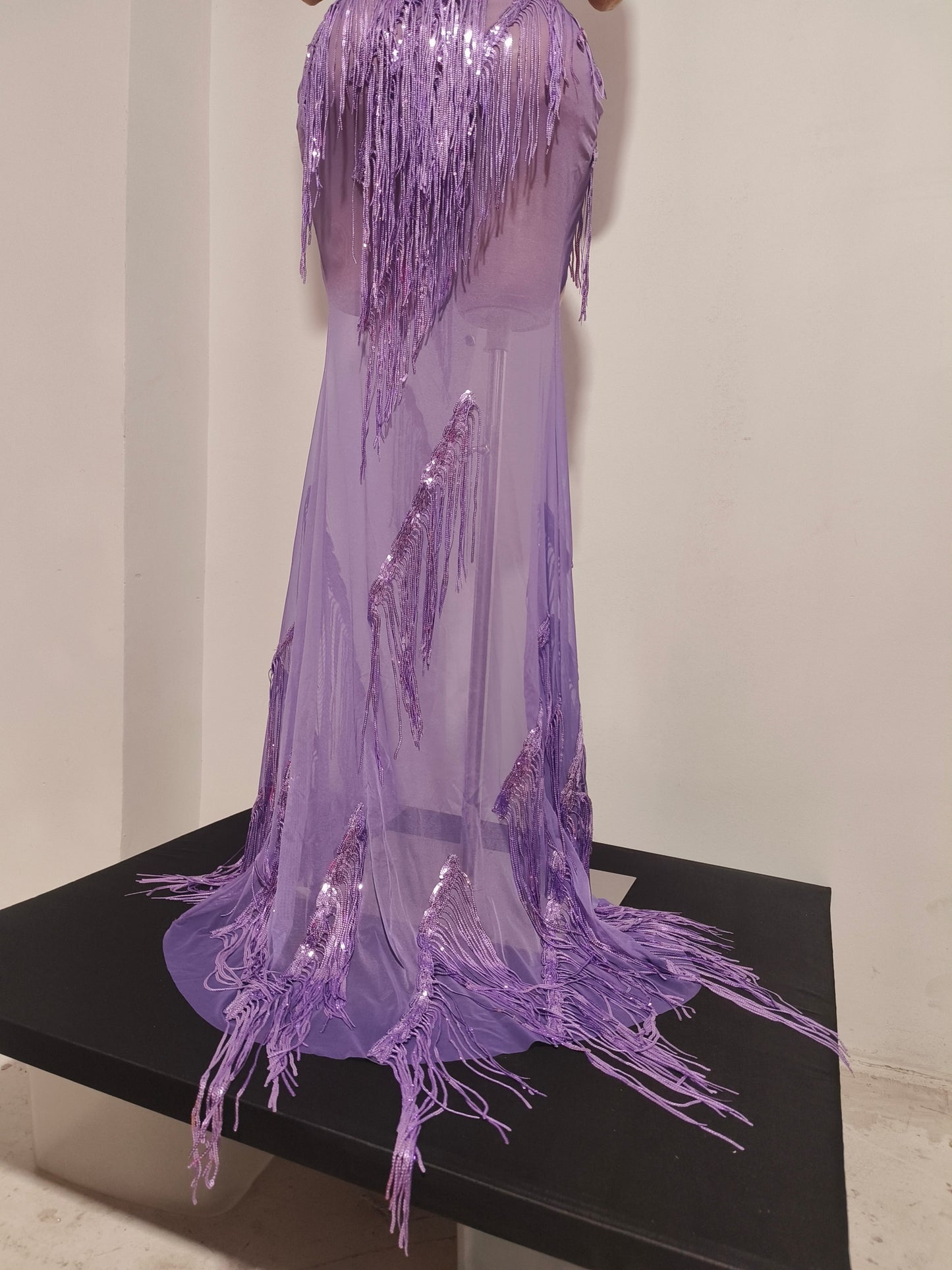 CELESINYI Zisi Crystal Lavender Fringe Gown