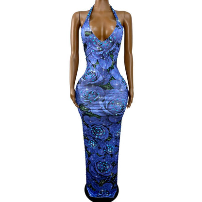 CELESINYI Meiguihuaban Crystal Rose Print Dress
