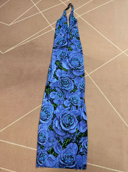 CELESINYI Meiguihuaban Crystal Rose Print Dress