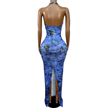 CELESINYI Meiguihuaban Crystal Rose Print Dress