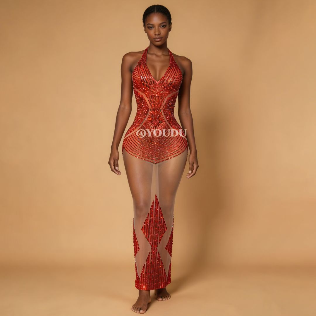 CELESINYI Hongxiezi Crystal Sunburst Mermaid Gown