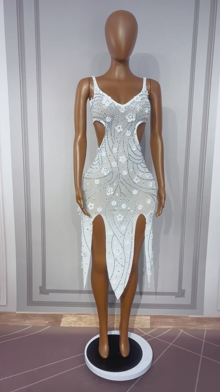 CELESINYI Liudehua Crystal Flower Applique Dress