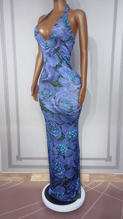 CELESINYI Meiguihuaban Crystal Rose Print Dress